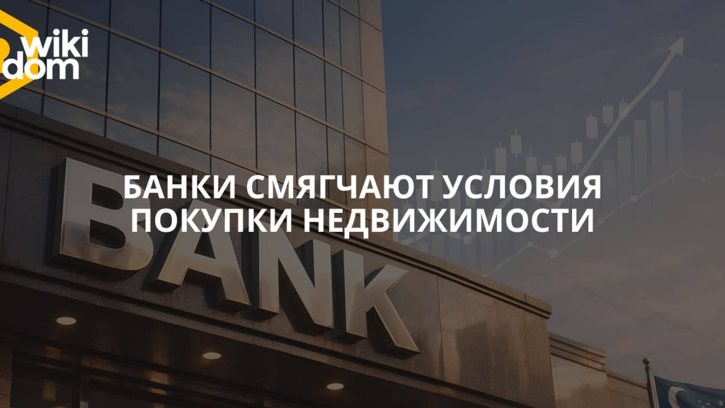 Без названия.png