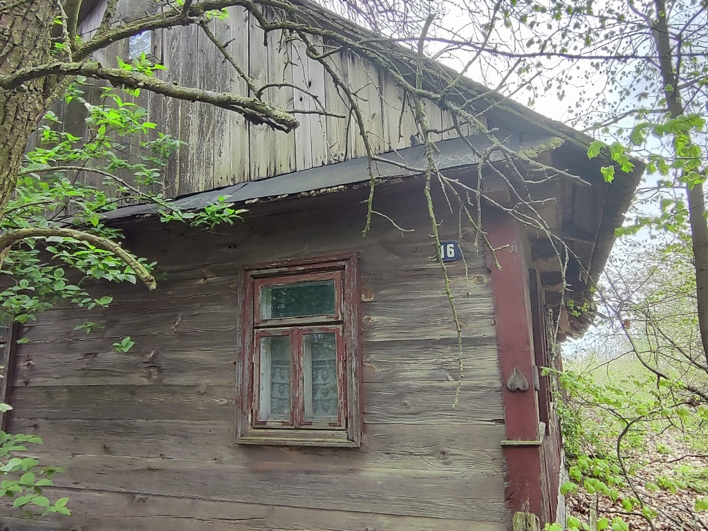 minkovichi-1.jpg