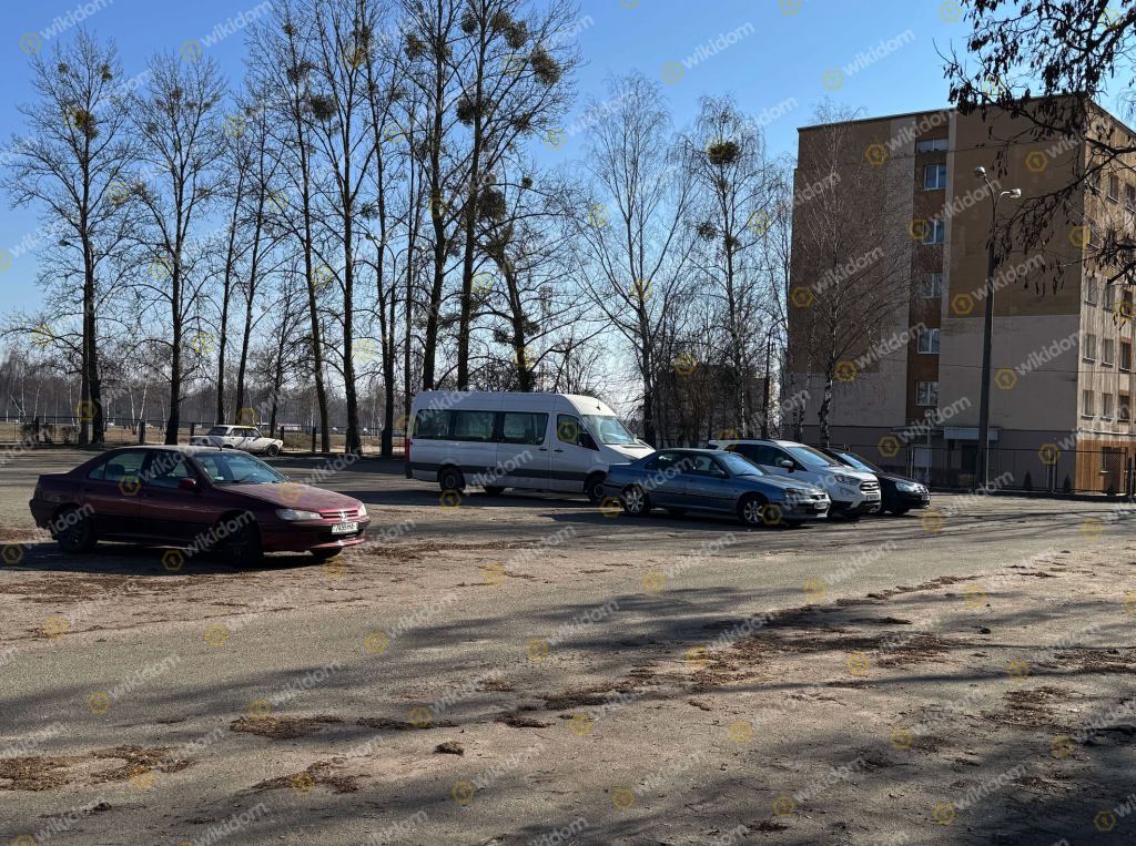 парковка.png 2025-02-24 10-30-00.png